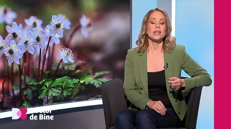 Legătura ascunsă dintre hipertensiune și ficatul gras. Semnele care pot anunța boli cardiovasculare