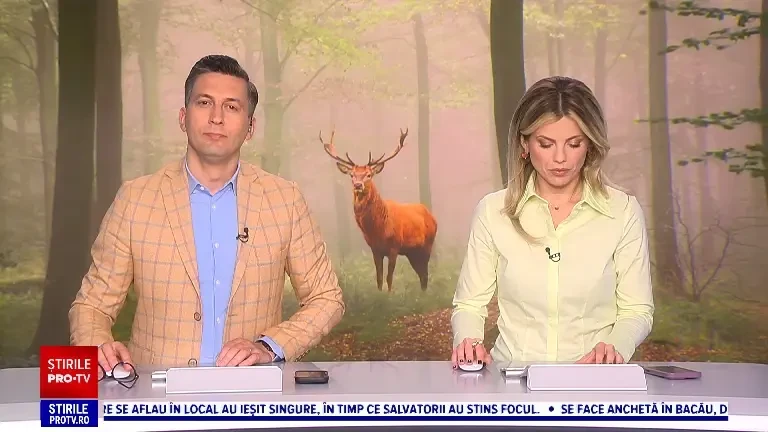 Animalul care revine în pădurile României după aproape 100 de ani. „Deja avem 15 pui făcuți în țarc”