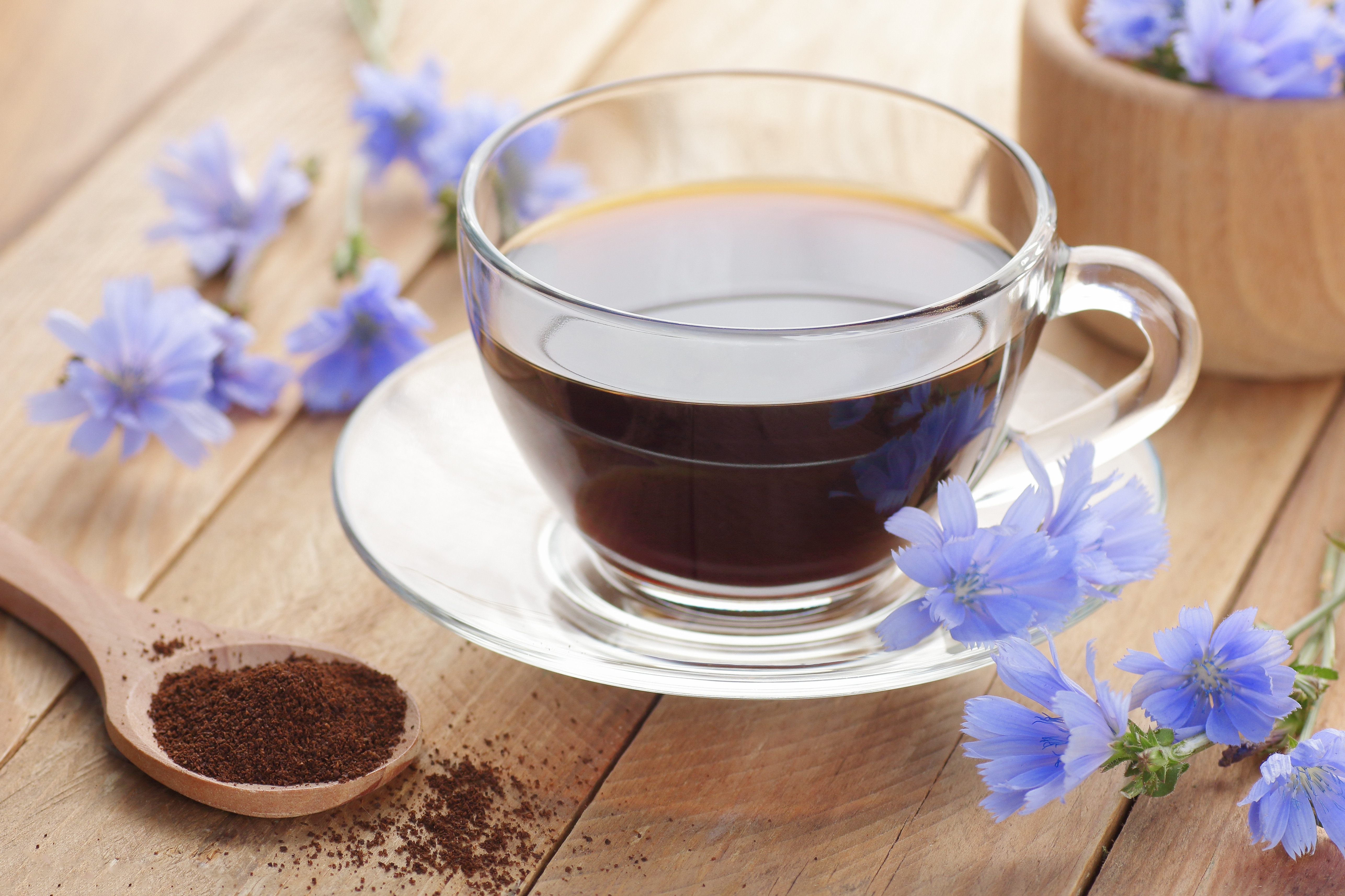 Cicoare – beneficii și proprietăți. Cum să folosești acest remediu natural pentru o viață mai sănătoasă