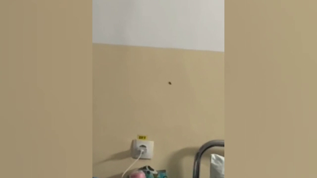 Reacția Spitalului Judeţean din Slatina după ce mai mulți pacienți au filmat gândaci. Băile sunt în stare deplorabilă