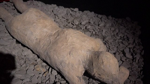 O sută de exponate din Pompei, în premieră la Muzeul Național de Artă din Timișoara. Obiectele valorează milioane de euro