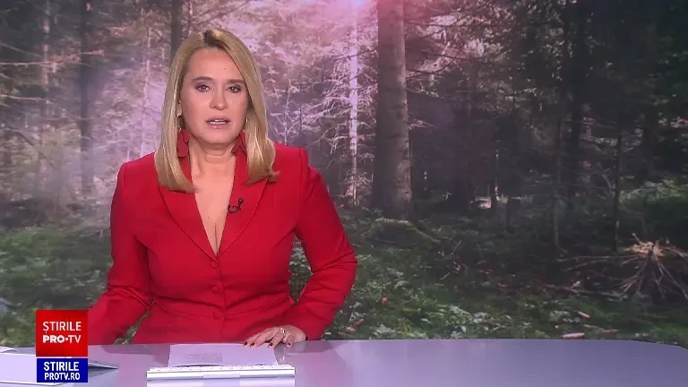 România, tărâmul comorilor ascunse. Aproape 7.000 de dosare pentru artefacte găsite întâmplător și recompense întârziate