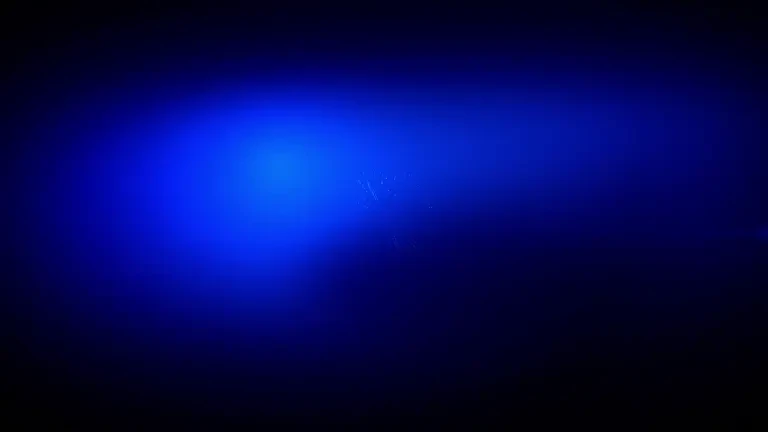 Știrile ProTV de la ora 19:00 - 20.11.2025