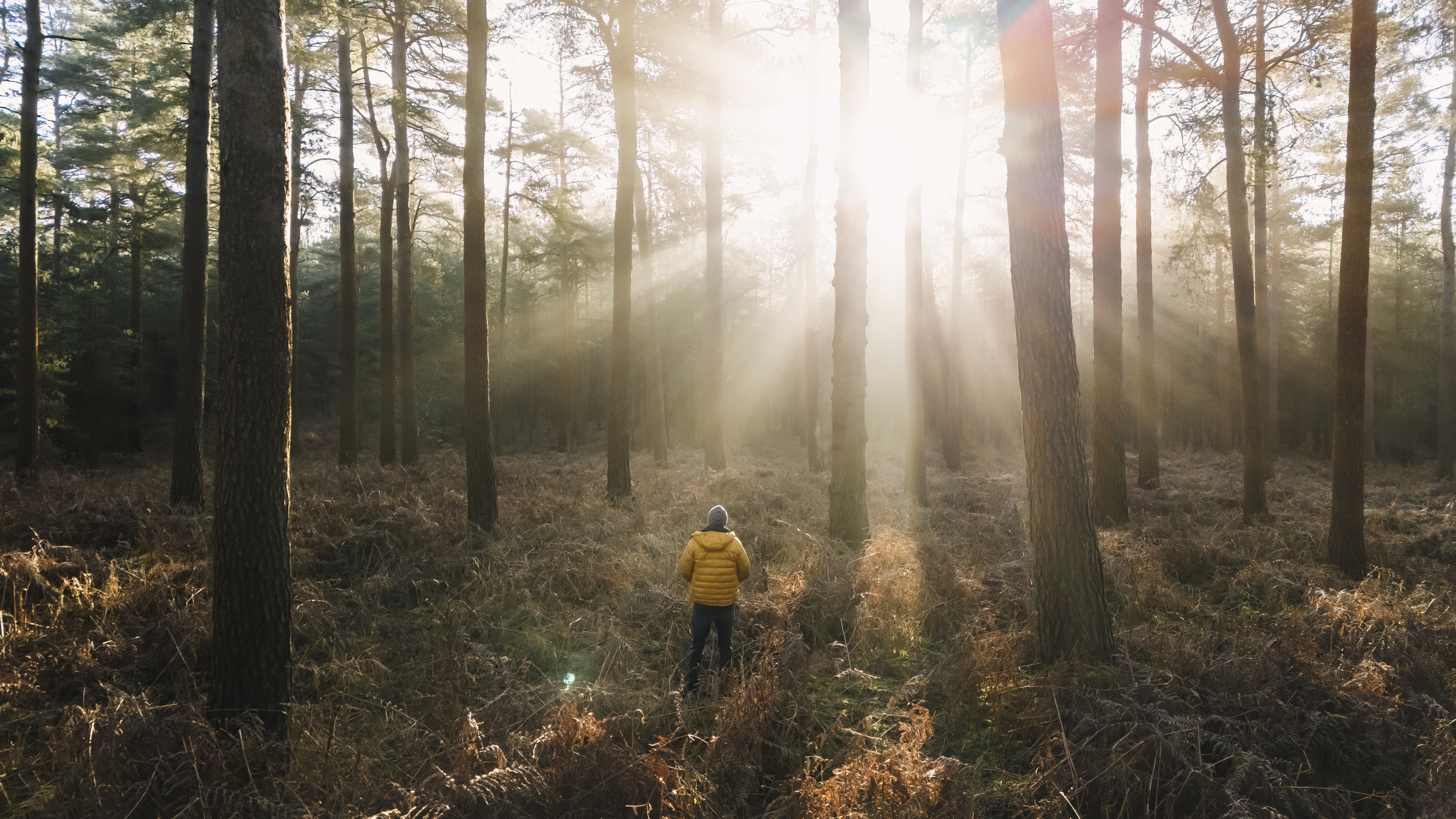 Vremea azi, 25 noiembrie. Atmosferă însorită în cea mai mare parte a țării. Maxime între 9 și 17 grade