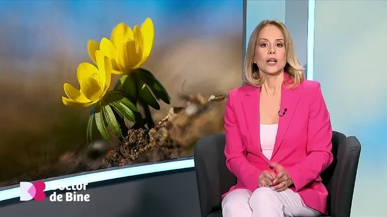 Celulele albe și rolul lor în apărarea organismului. Cum mișcarea le menține eficiente