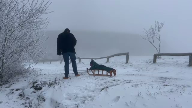 Iarna s-a instalat mai devreme în Germania. A nins aproape în toată țara, iar temperaturile au coborât sub zero grade