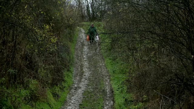 Răsturnare de situație în cazul bătrânei care a fost sfâșiată de câini. Ce au descoperit medicii la necropsie