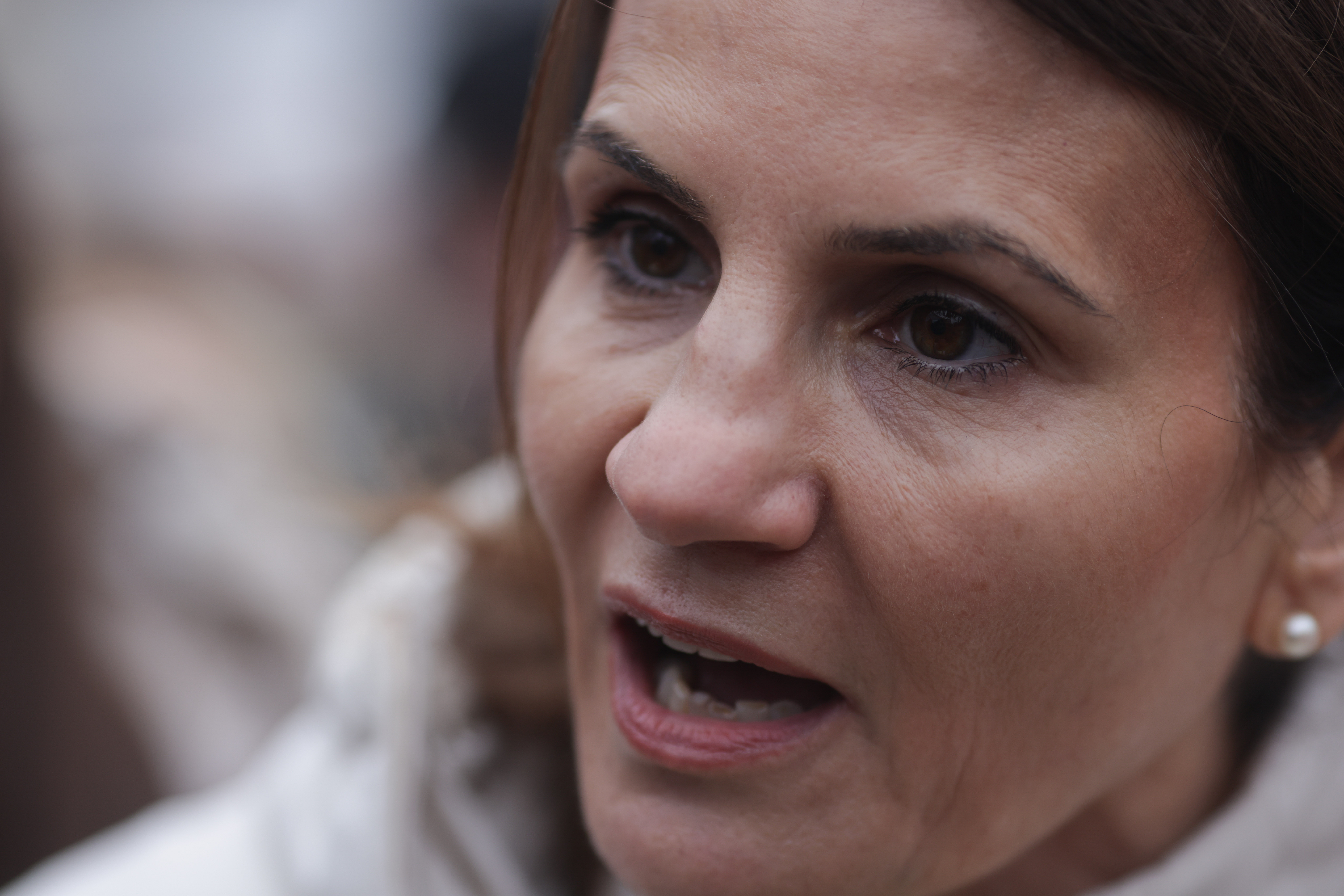 Anca Alexandrescu: ”Am de gând să merg mai departe pe acest drum al suveranismului”