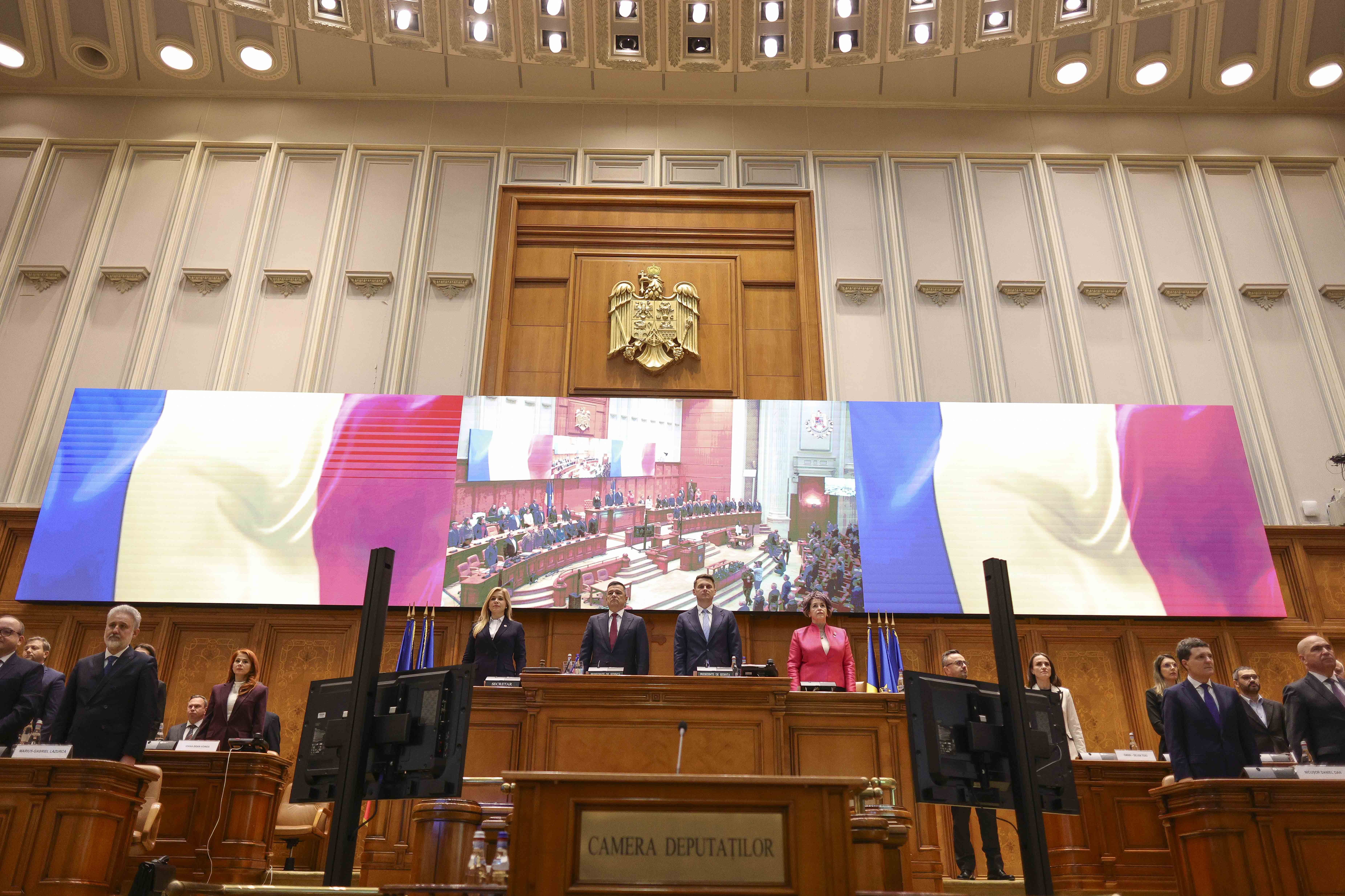 Nicuşor Dan, Parlament