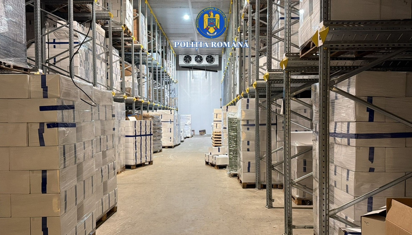 Evaziune fiscală cu trufe și fructe de pădure în Bihor, comisă de un italian și doi români. Prejudiciu uriaș. FOTO & VIDEO