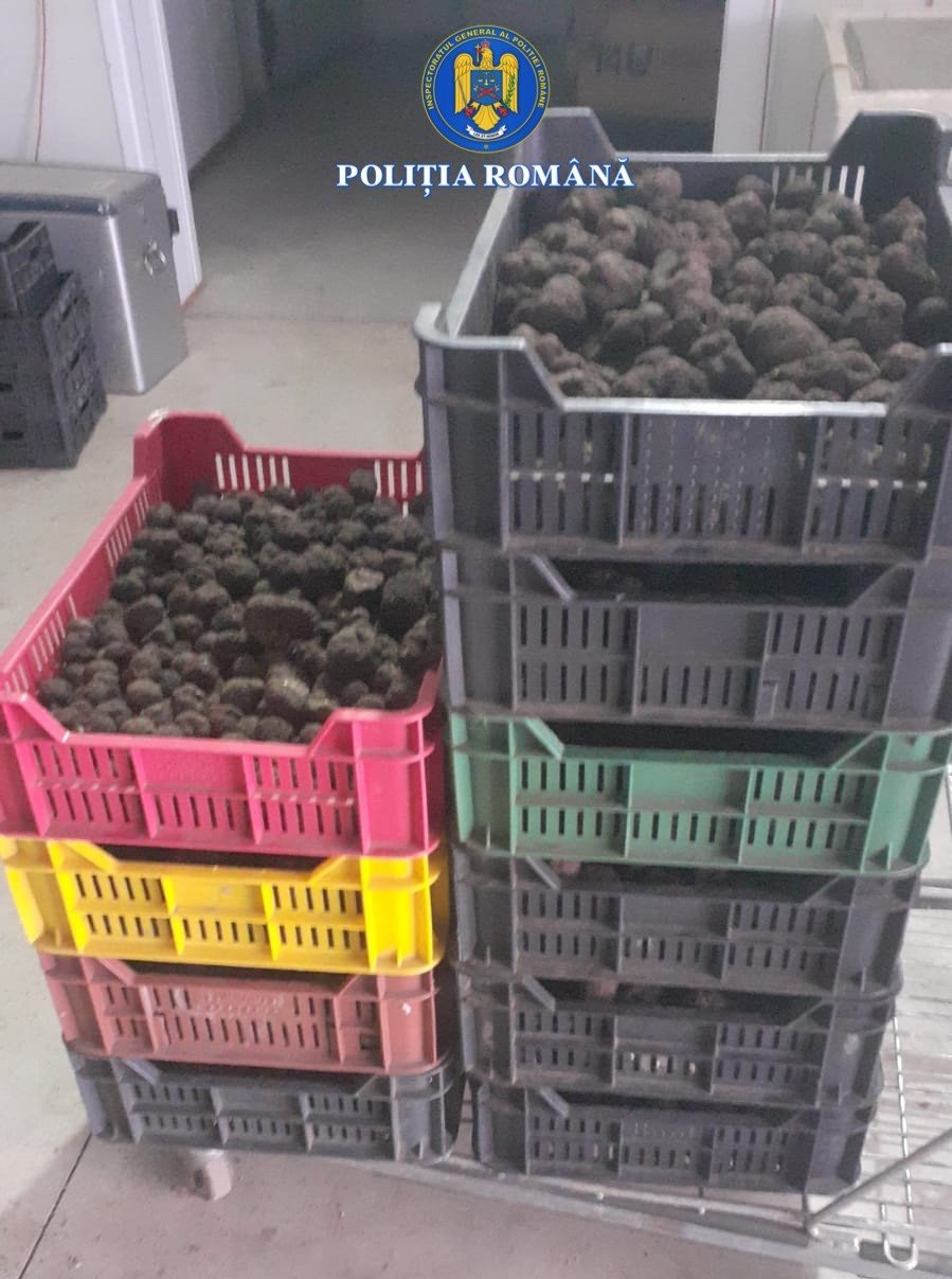 Evaziune trufe și fructe