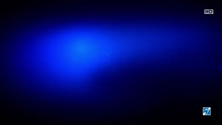 Știrile ProTV ale dimineții - 29.11.2025