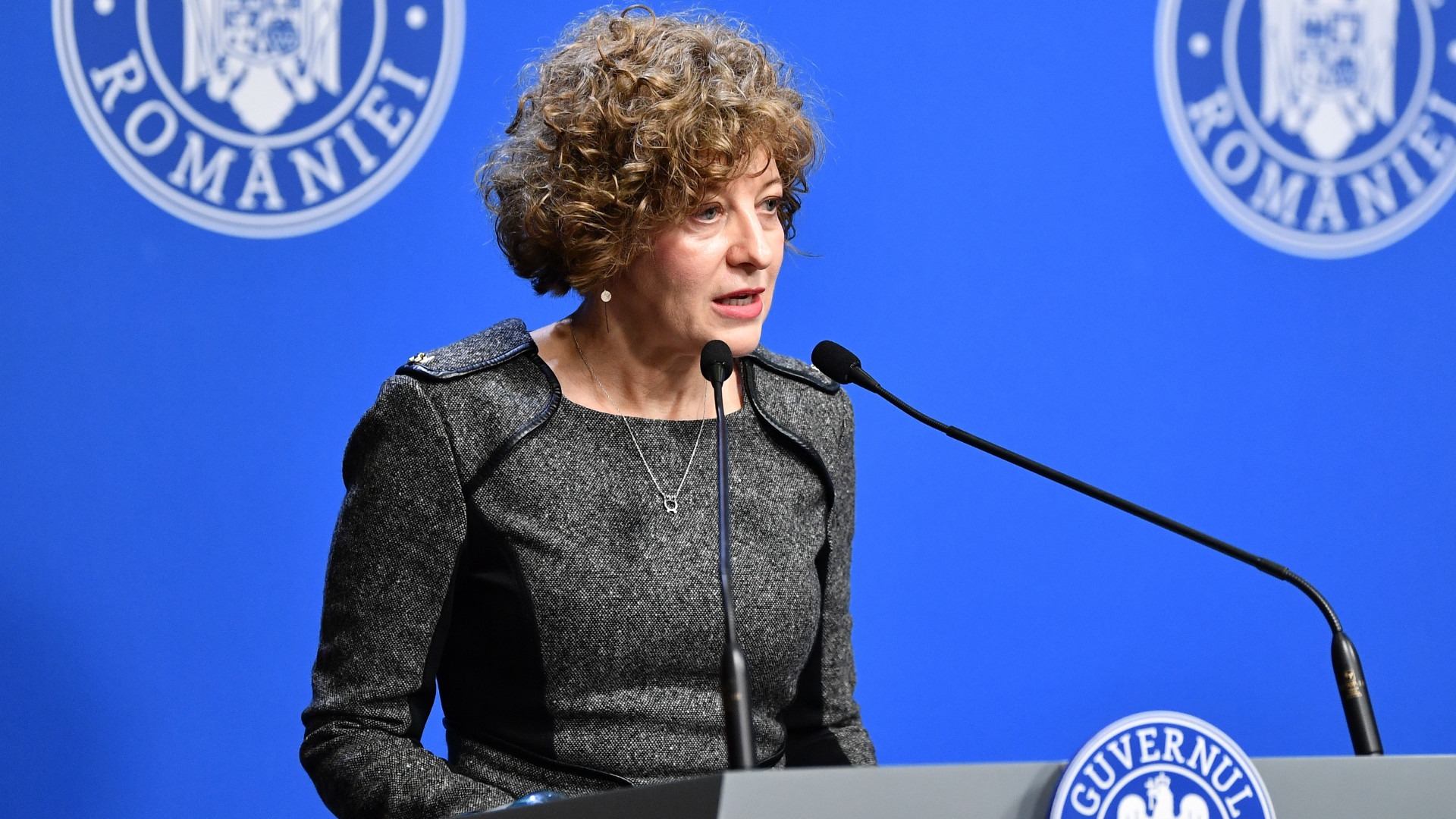 Începe pilotul reformei pentru companiile de stat. Oana Gheorghiu: „Lista primelor 10 companii va fi finalizată”