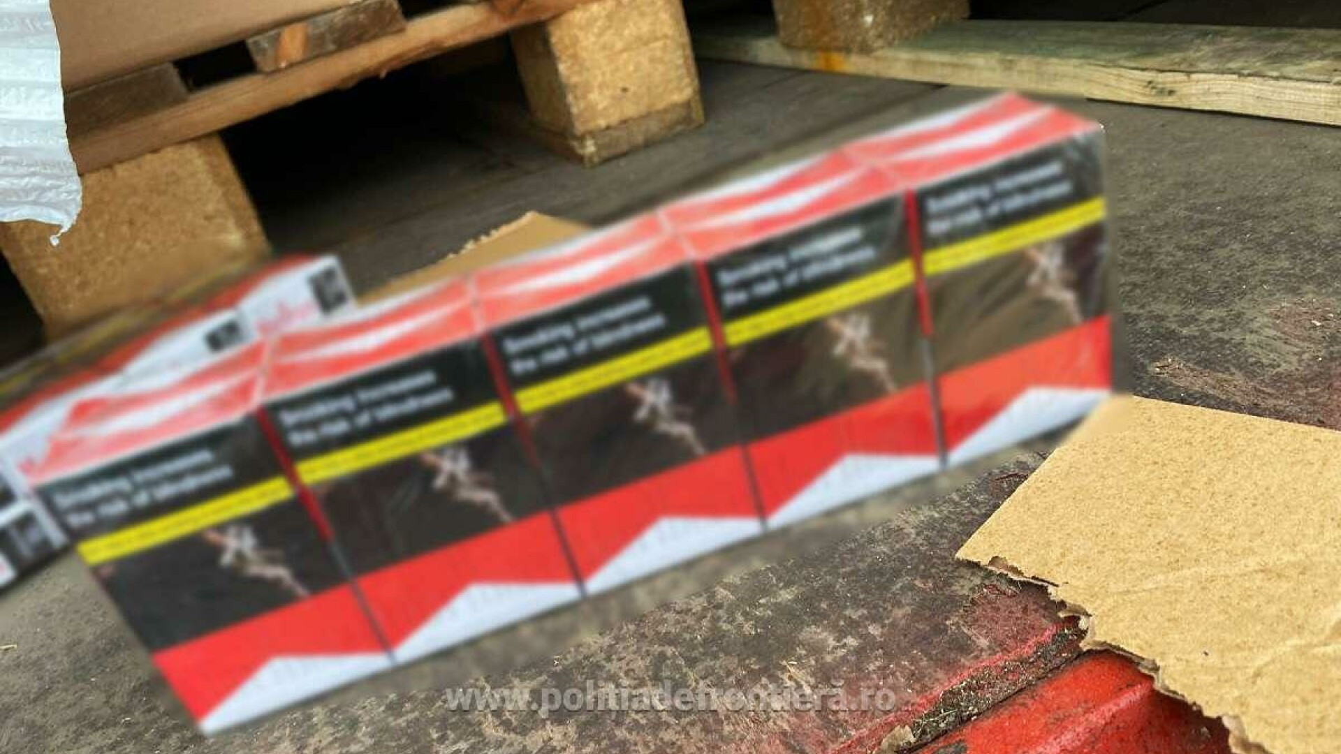 Captură de peste 2 milioane de lei la vama Calafat. Un șofer a fost arestat după ce a fost oprit pentru un control. FOTO