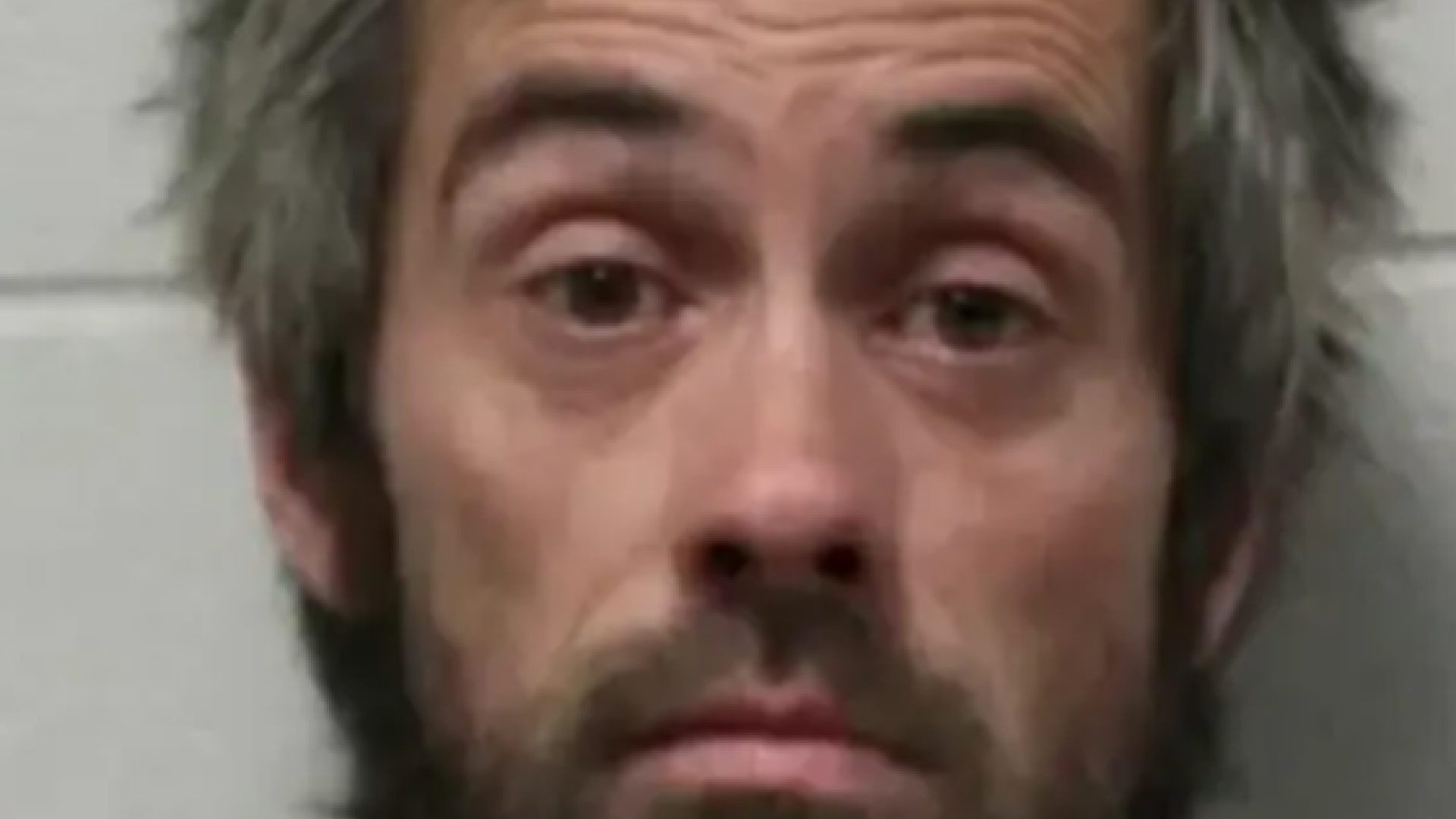 T&acirc;nără &icirc;nsărcinată, găsită moartă &icirc;ntr-o pădure din Michigan. Poliția caută bebelușul dispărut