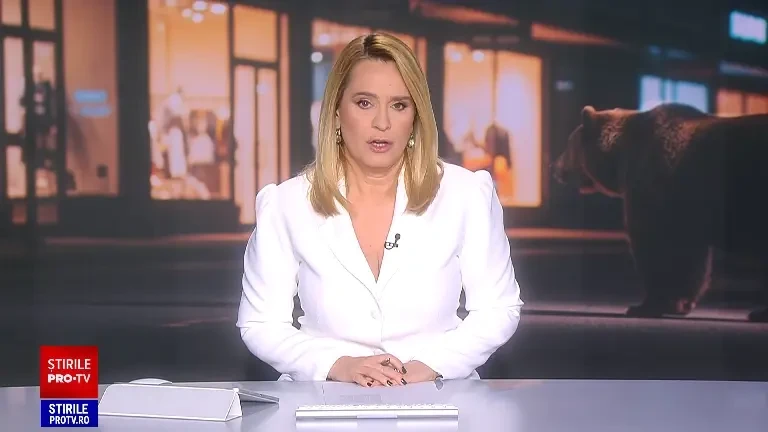 Un urs și-a făcut apariția la un mall din Brașov. Ce a făcut animalul până la apariția echipelor de intervenție