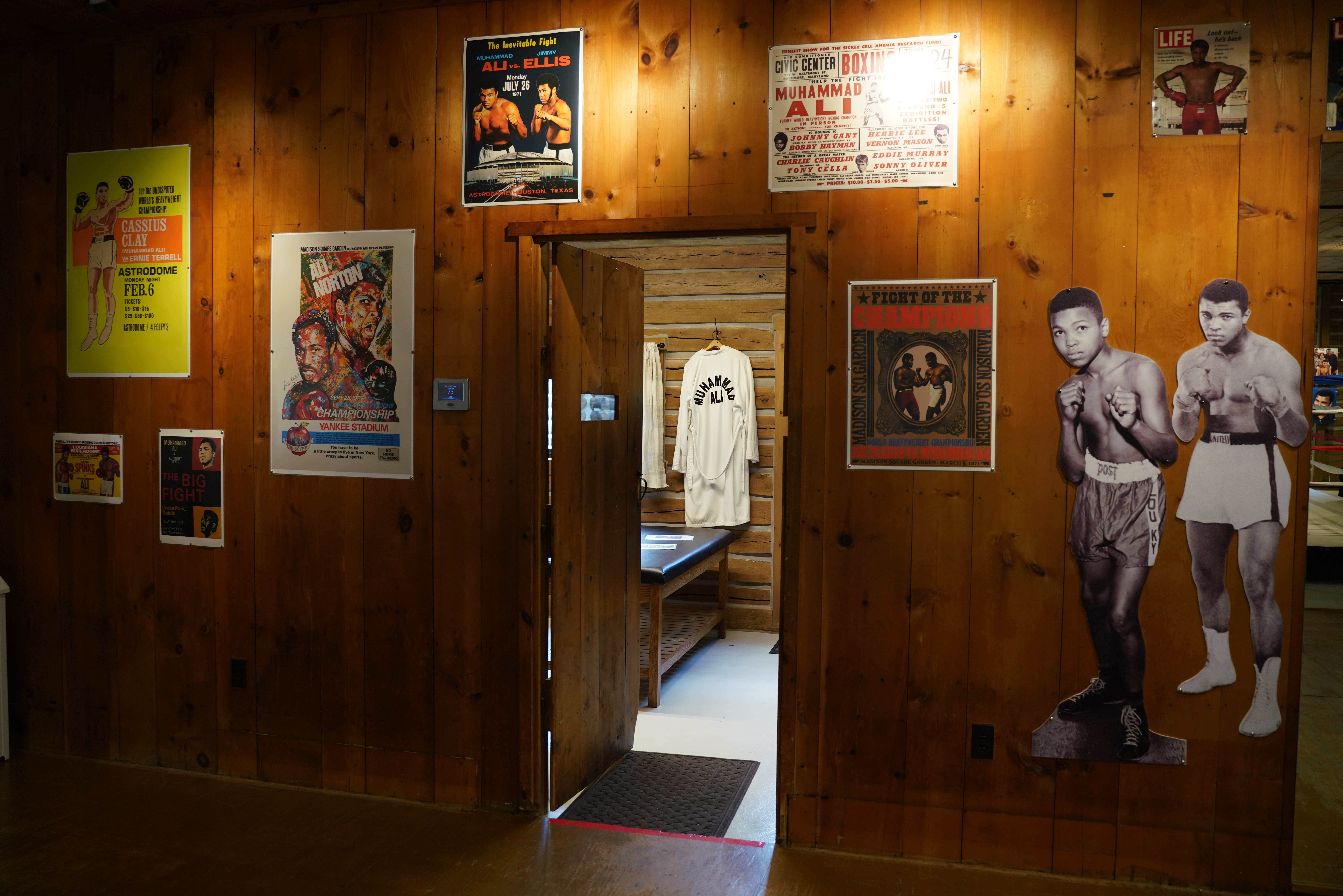 Un portret al legendarului boxer Mohamed Ali, pictat de Andy Warhol, a fost vândut pentru 18 milioane de dolari