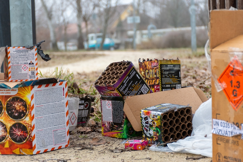 Un adolescent din Germania și-a pierdut o mână după ce a aprins artificii la o petrecere. Un alt tânăr a fost rănit ușor