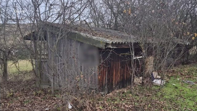 Sechestrare cu semne de întrebare într-o comună din Cluj. Fată de 13 ani, găsită într-o casă părăsită, cu un băiat de 17