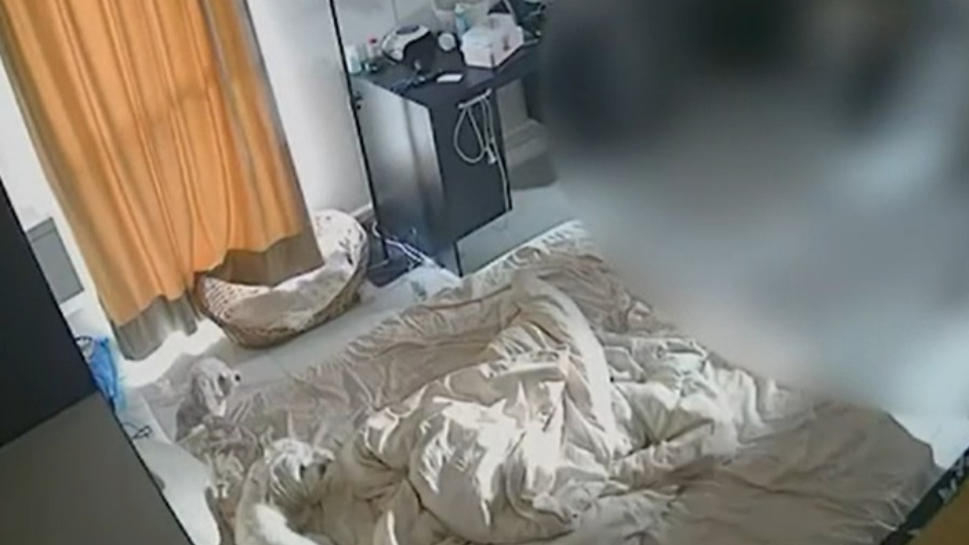 O femeie a fost atacată în propria casă de fostul iubit. Imagini violente surprinse în locuința sa din Giroc