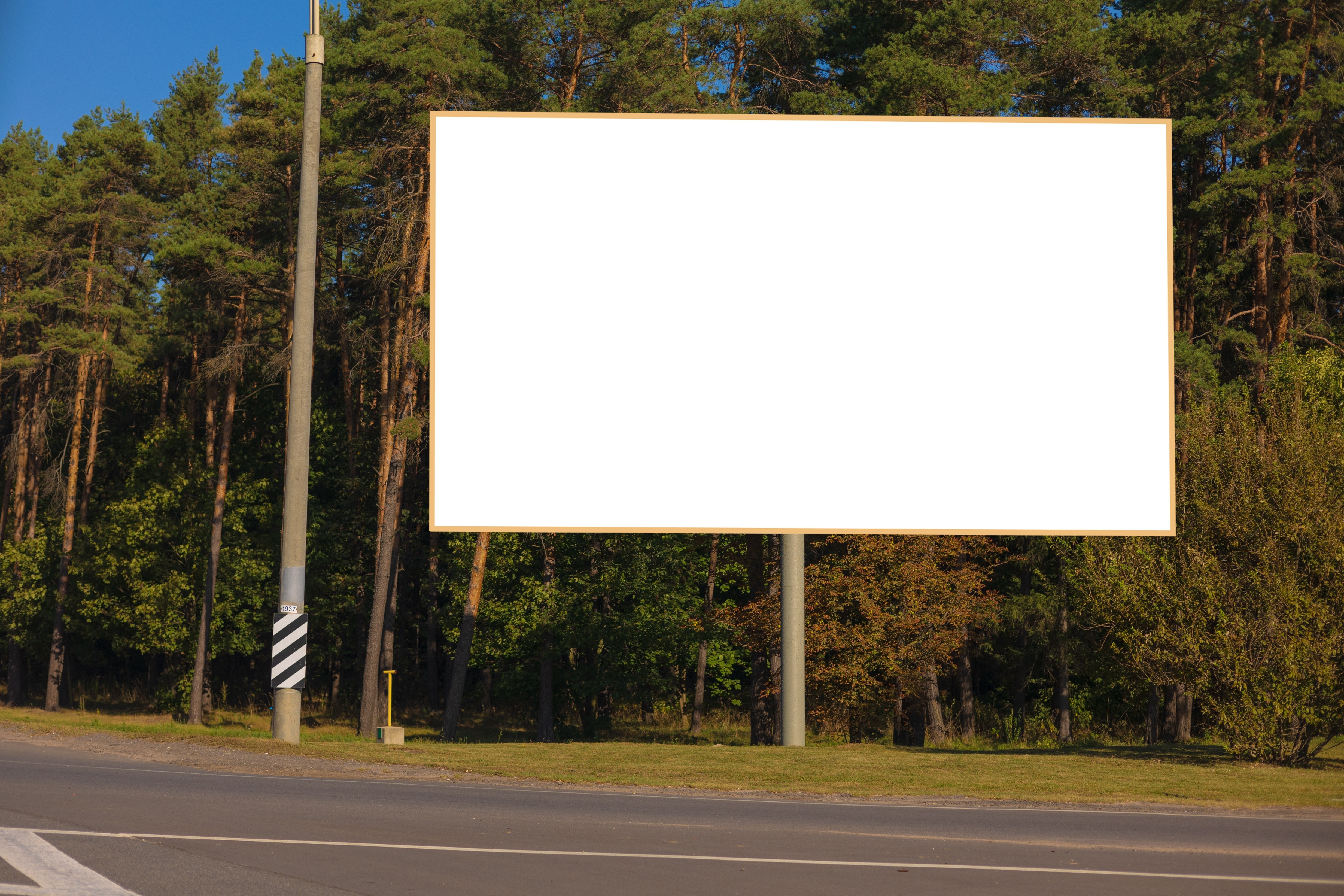 Caracatița panourilor ilegale din București. Bani negri pe spațiul public și ani de blocaj, la primărie