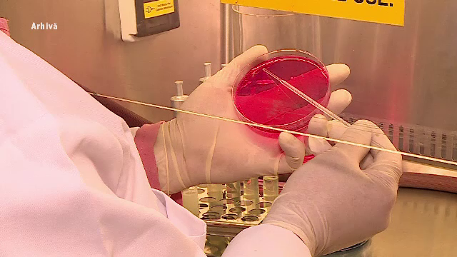 Lepra a reapărut în România după mai bine de 40 de ani. Noi detalii despre cele două cazuri confirmate în Cluj-Napoca