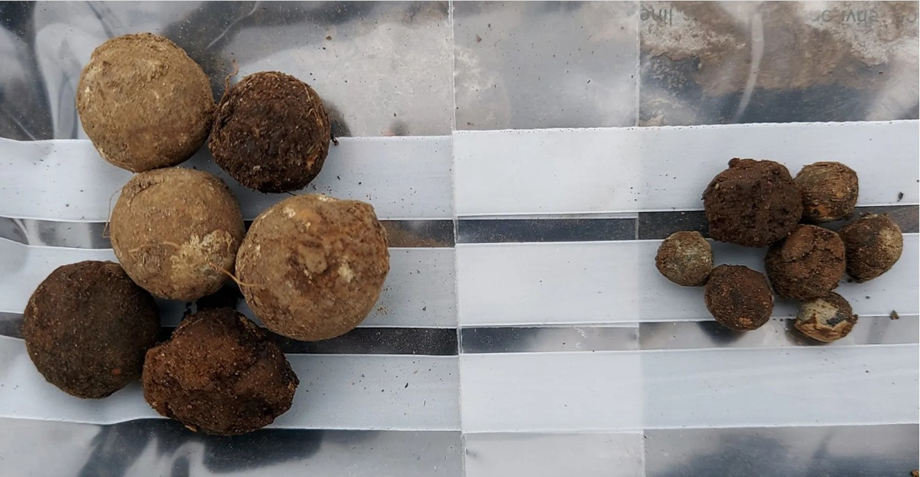 Descoperire uimitoare. Un „tezaur” de gloanțe din cea mai sângeroasă bătălie a Scoției a fost scos la „lumină” de arheologi