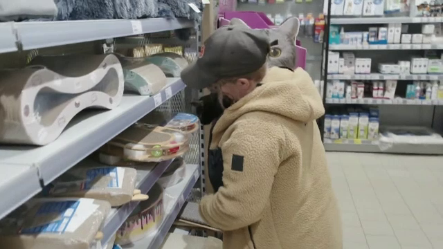 Bere pentru câini, printre cele mai apreciate cadouri de Crăciun pentru animalele de companie