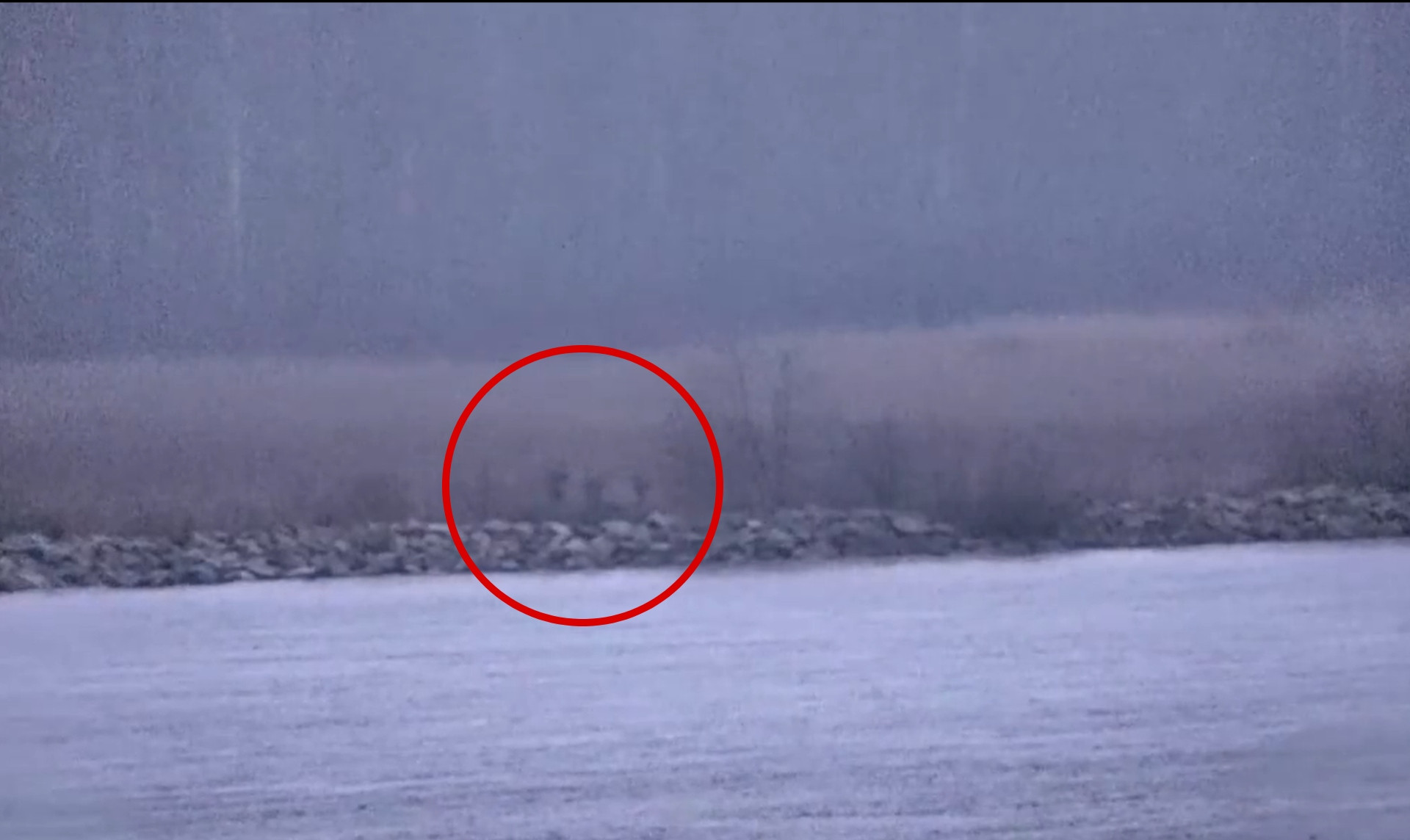 Alertă într-un stat NATO. Trei grăniceri ruși au traversat ilegal granița, pe o ambarcațiune cu pernă de aer. VIDEO