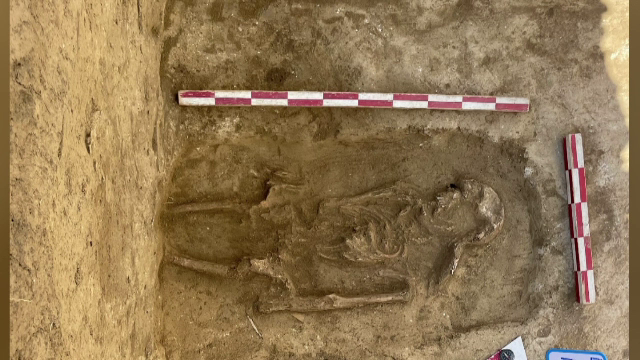 Amfore africane vechi de 1.700 de ani, descoperite în morminte antice din Constanța. ”Putem găsi povești fabuloase”