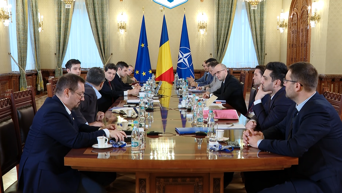 Nicusor Dan, magistrati, Cotroceni