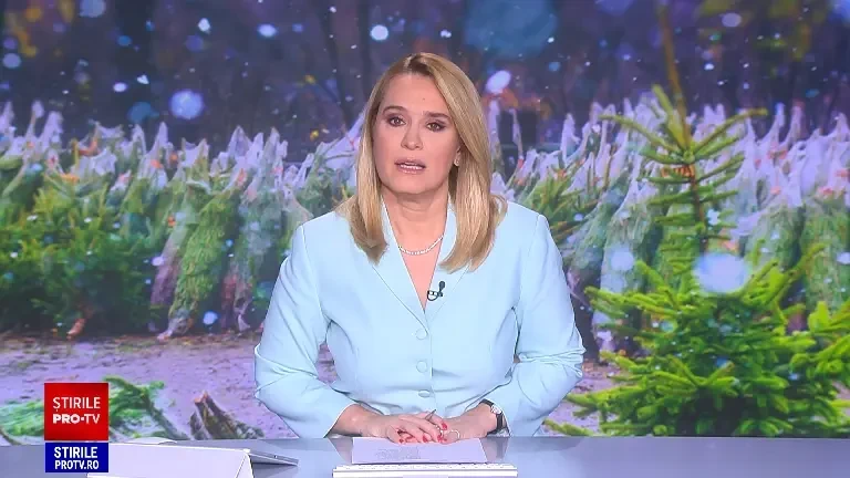 Brazii de dimensiuni medii, sosiți din străinătate, primul loc în preferințele românilor de Crăciun. Prețuri până la 700 lei