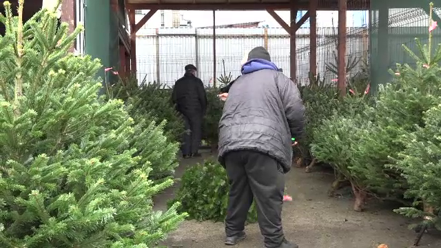 Forfotă în piețe înainte de Crăciun. Comercianții au redus prețurile brazilor