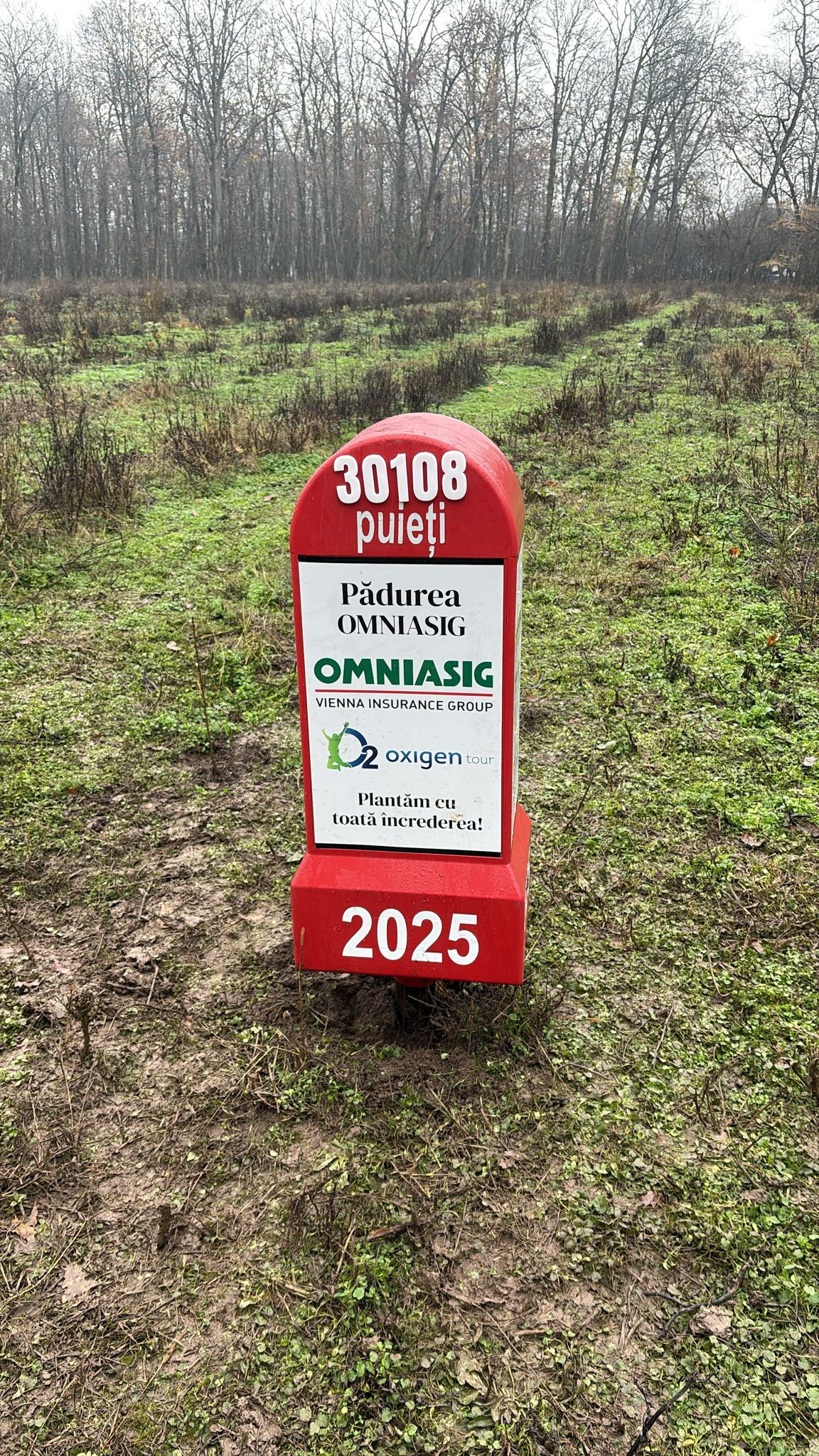 (P) OMNIASIG depășește obiectivul pe care și l-a propus cu ocazia împlinirii a 30 de ani: peste 33.000 de copaci plantați