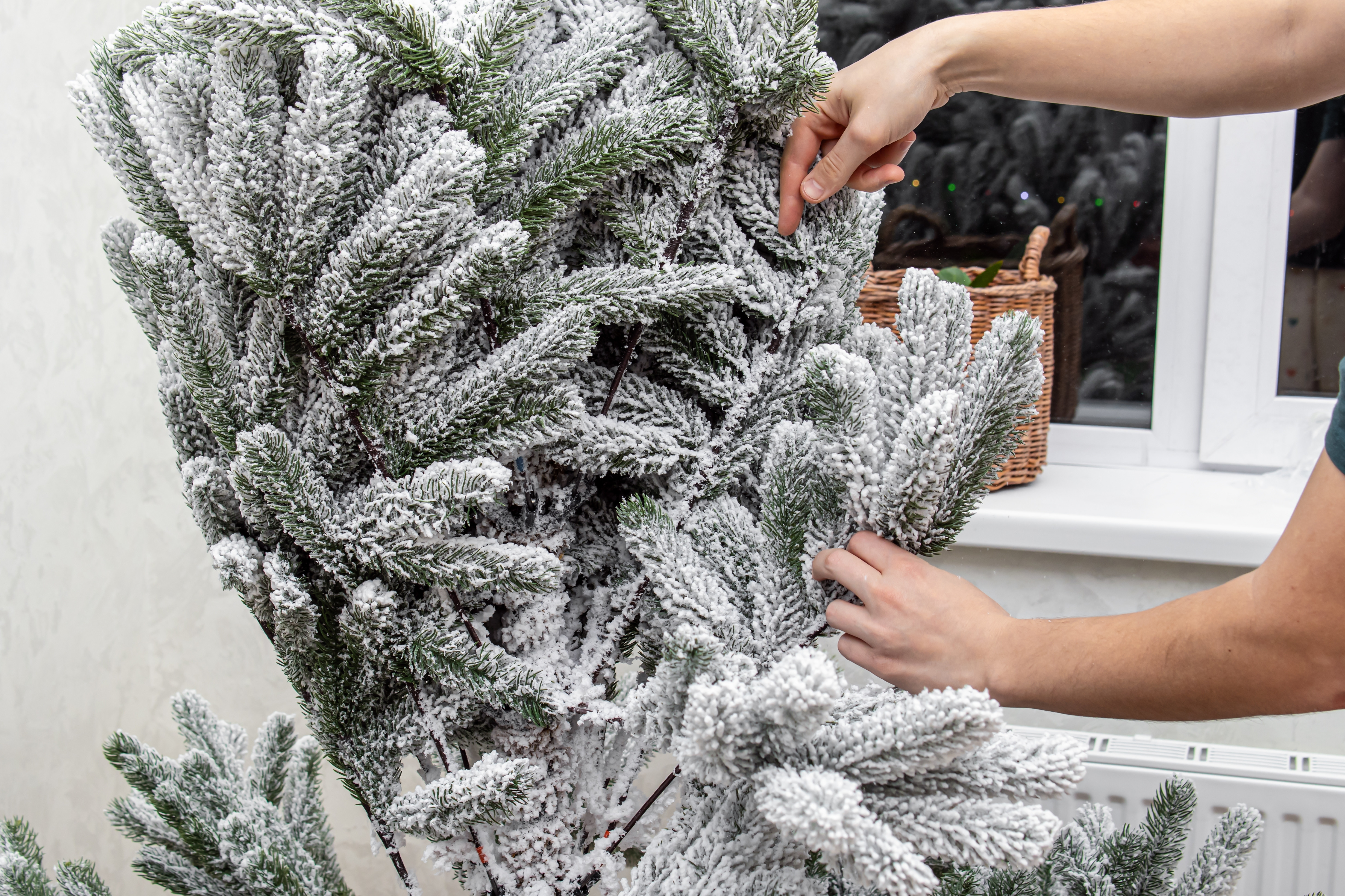 Cum să speli corect bradul de Crăciun artificial. Pași esențiali înainte de a-l împodobi