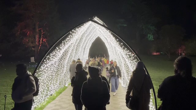 Locul unde sărbătorile par desprinse dintr-un film SF. O grădina botanică uimește vizitatorii cu decorul de Crăciun