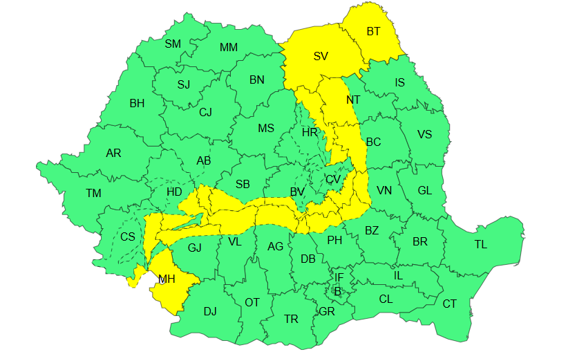 viscol ninsoare romania