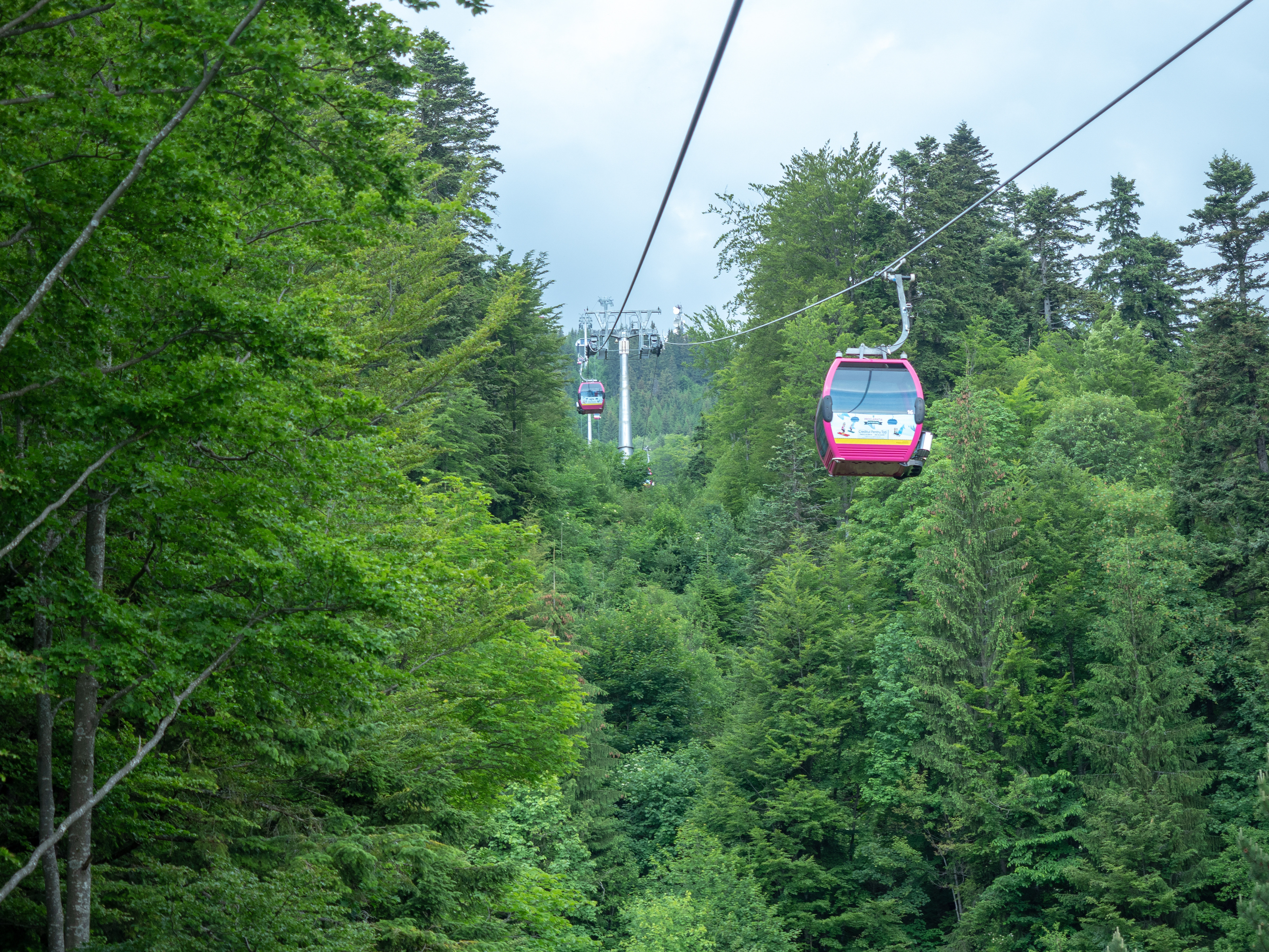 Probleme în funcţionarea instalaţiilor de transport pe cablu de la Sinaia, din cauza vântului puternic