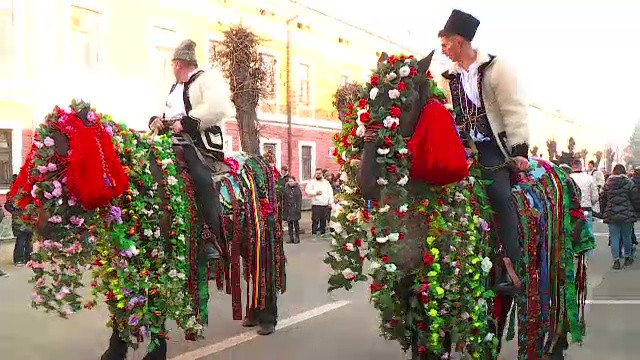 De Crăciun, în inima Maramureșului istoric, caii mândri cu hamuri împodobite au făcut senzație. Turiștii sunt încântați
