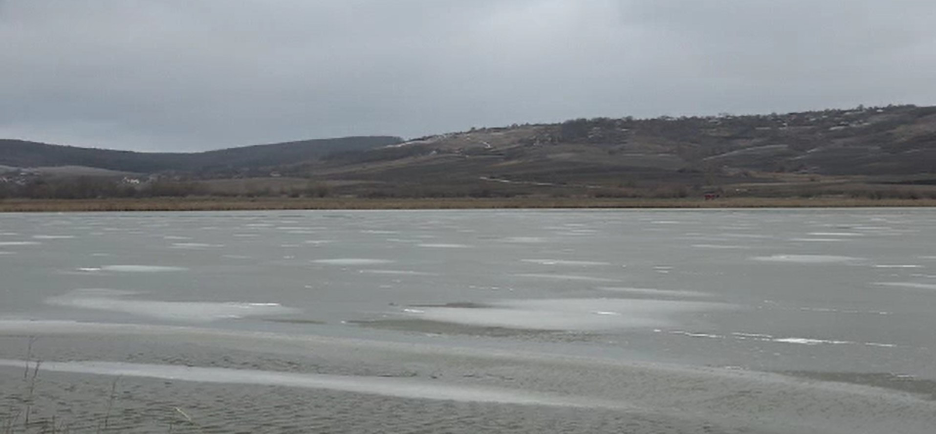 Un primar din Belgia era să-și piardă viața după ce a sărit într-un lac înghețat pentru a-și salva câinele