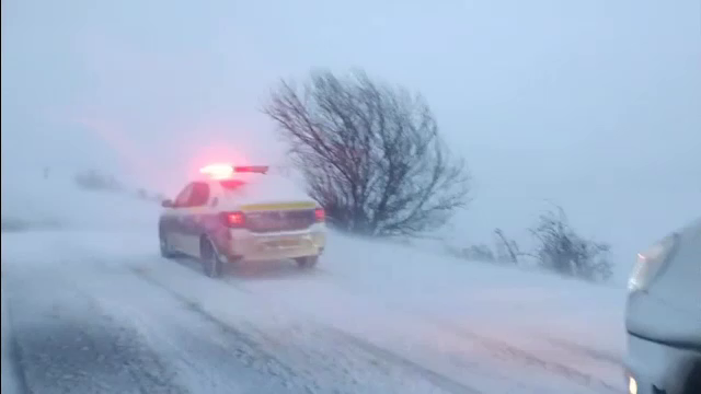 Alertă de vreme rea în România. Viscolul a doborât copaci și stâlpi de electricitate, mii de oameni afectați. ”E dezastru!”