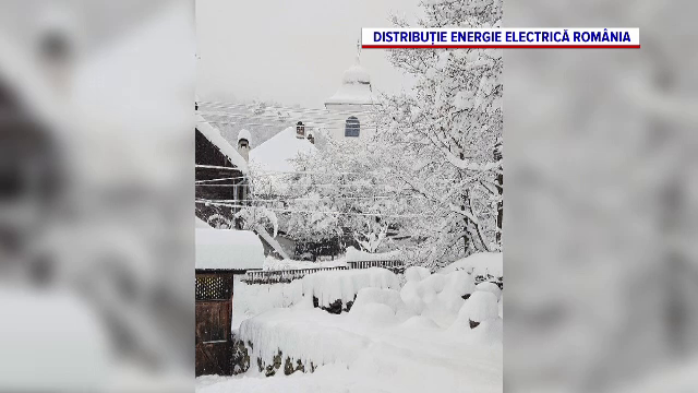 „Situația este critică”. Aproape 100.000 de locuințe nu au curent după furtună. Cablurile, rupte de copacii căzuți