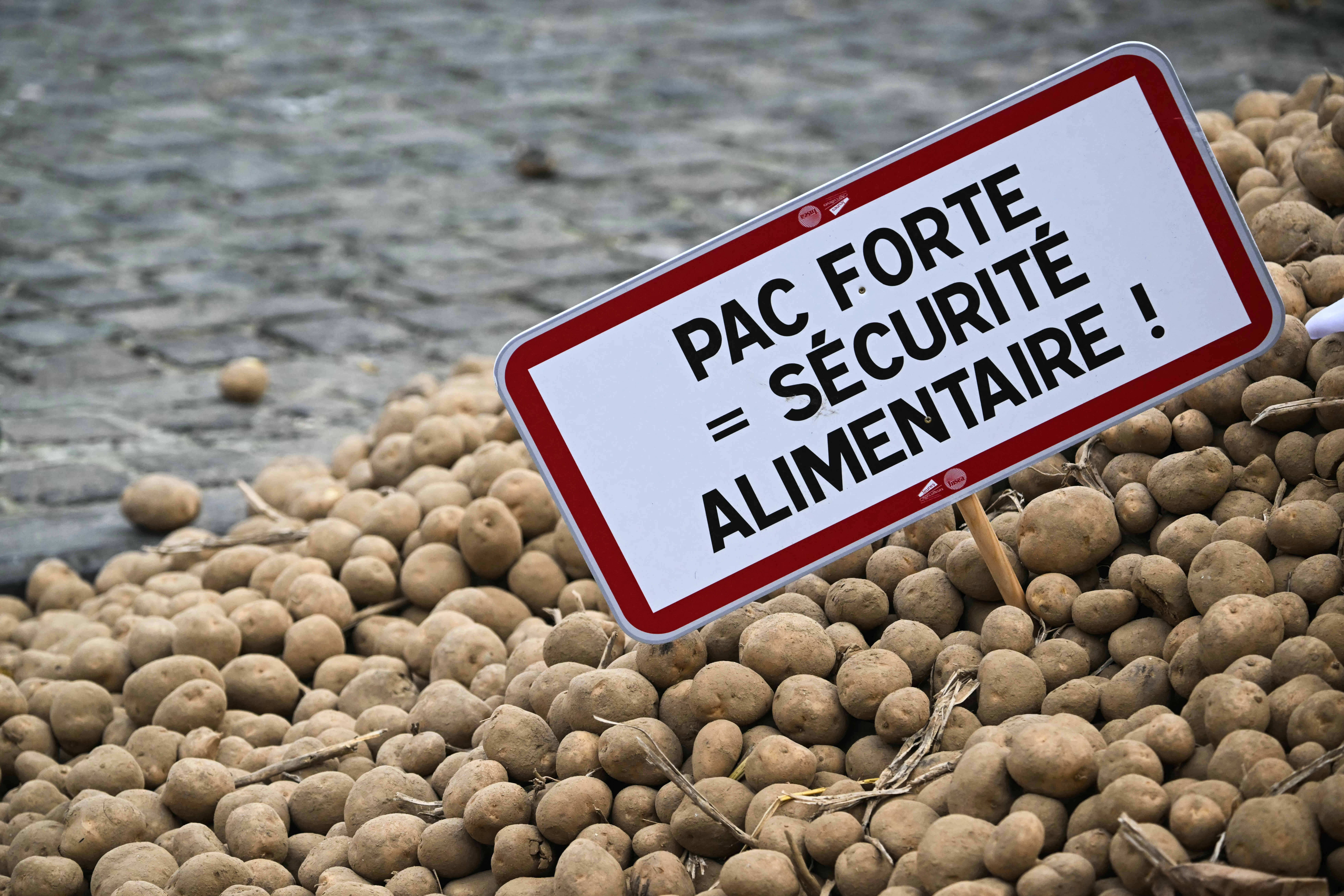 Protest cu cartofi prăjiți în fața Parlamentului European de la Bruxelles. Acordul UE–Mercosur este considerat „incorect”