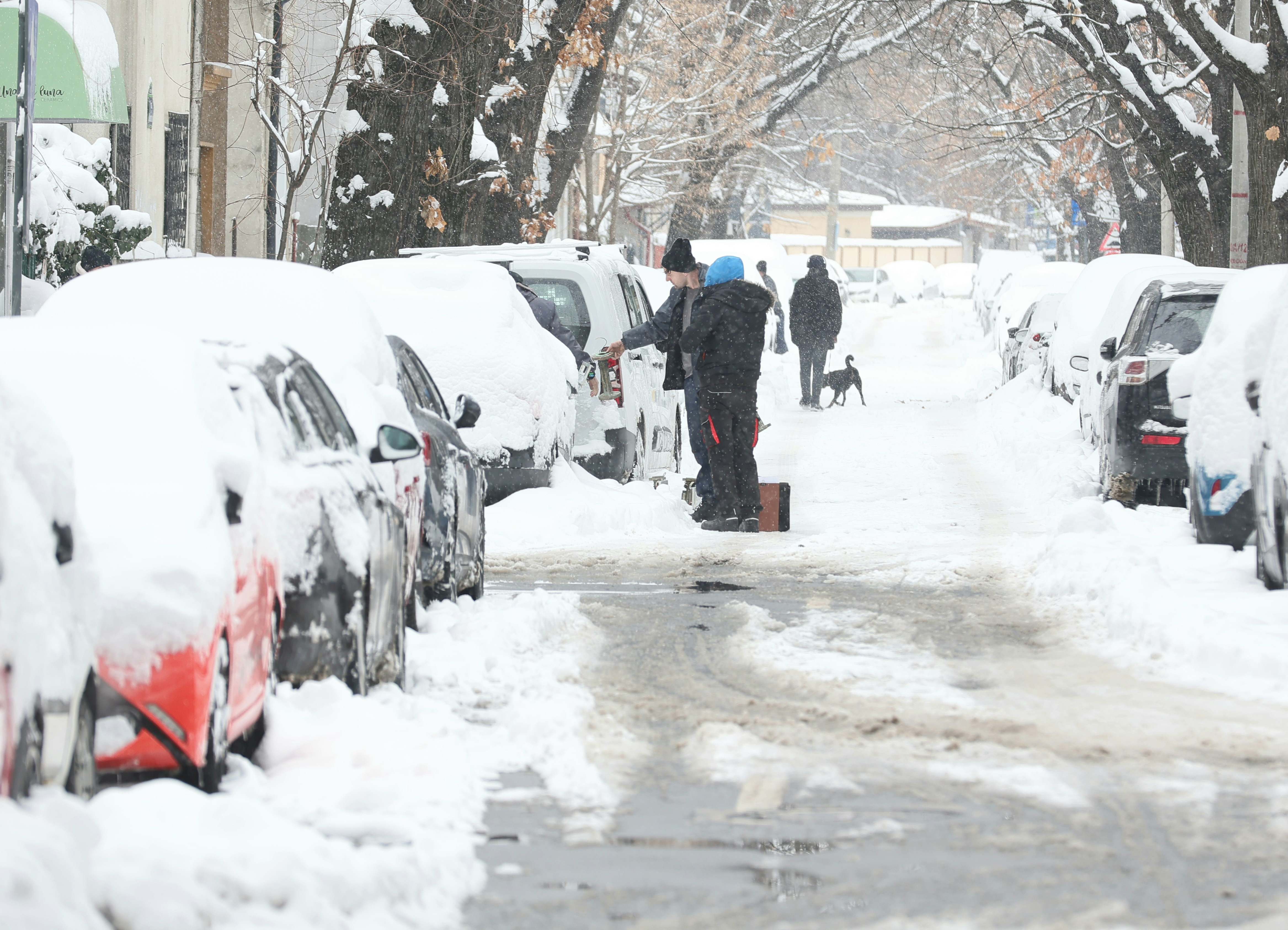 Vremea azi, 13 ianuarie 2026. Temperaturi cu minus, ninsori și viscol în aproape toată țara