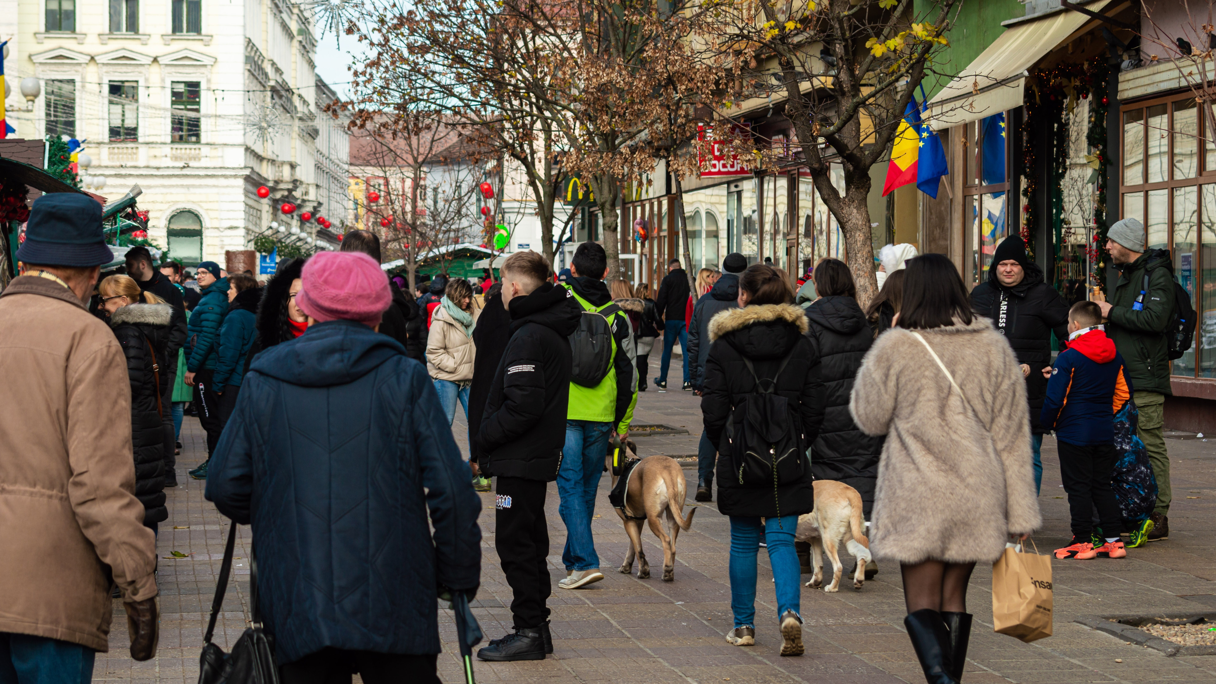 Inflația a scăzut ușor în decembrie, dar a fost peste ținta BNR. Ce s-a scumpit cel mai mult