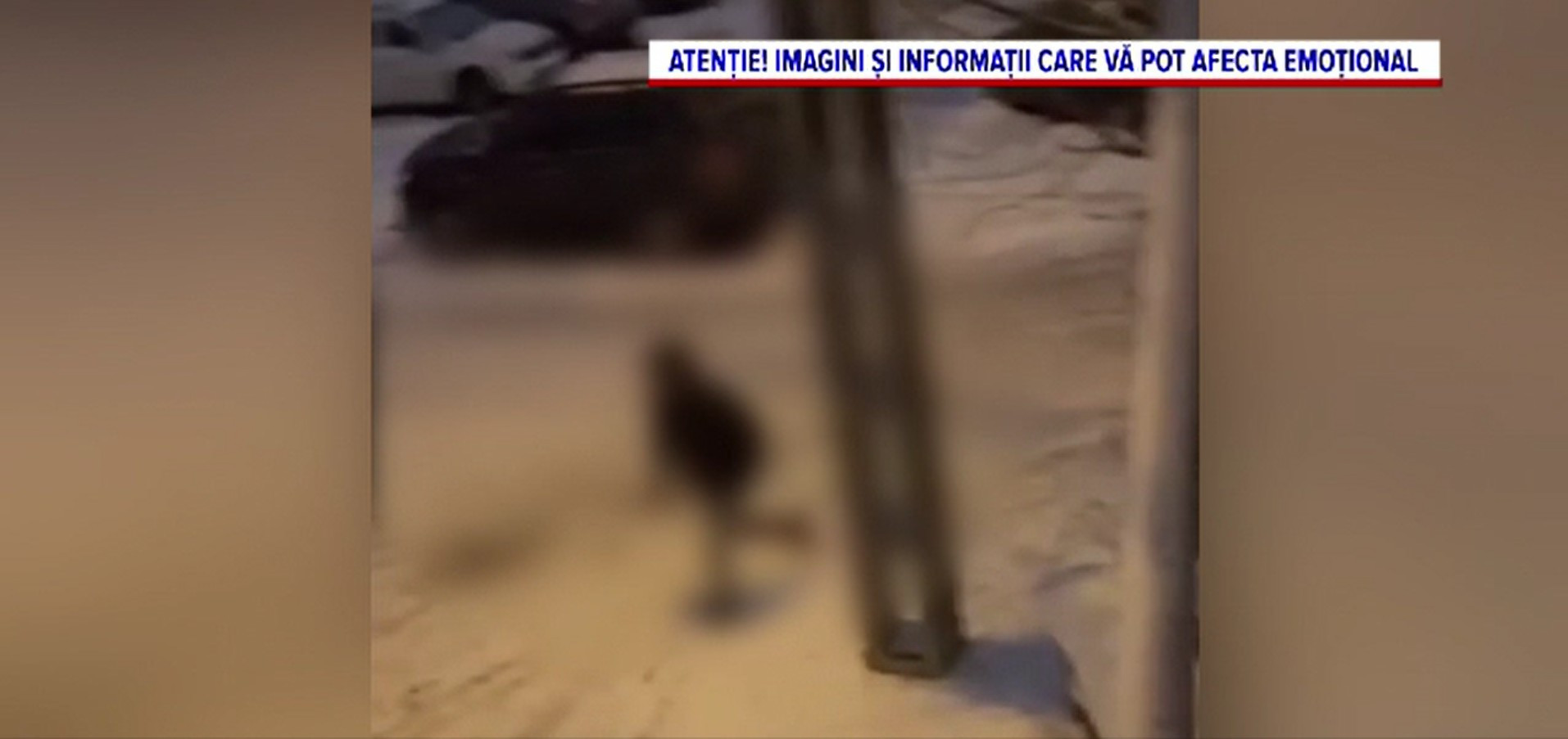 Un bărbat de 73 de ani din Oradea a fost bătut cu pumnii, picioarele și bâtele de trei tineri. De la ce au pornit violențele