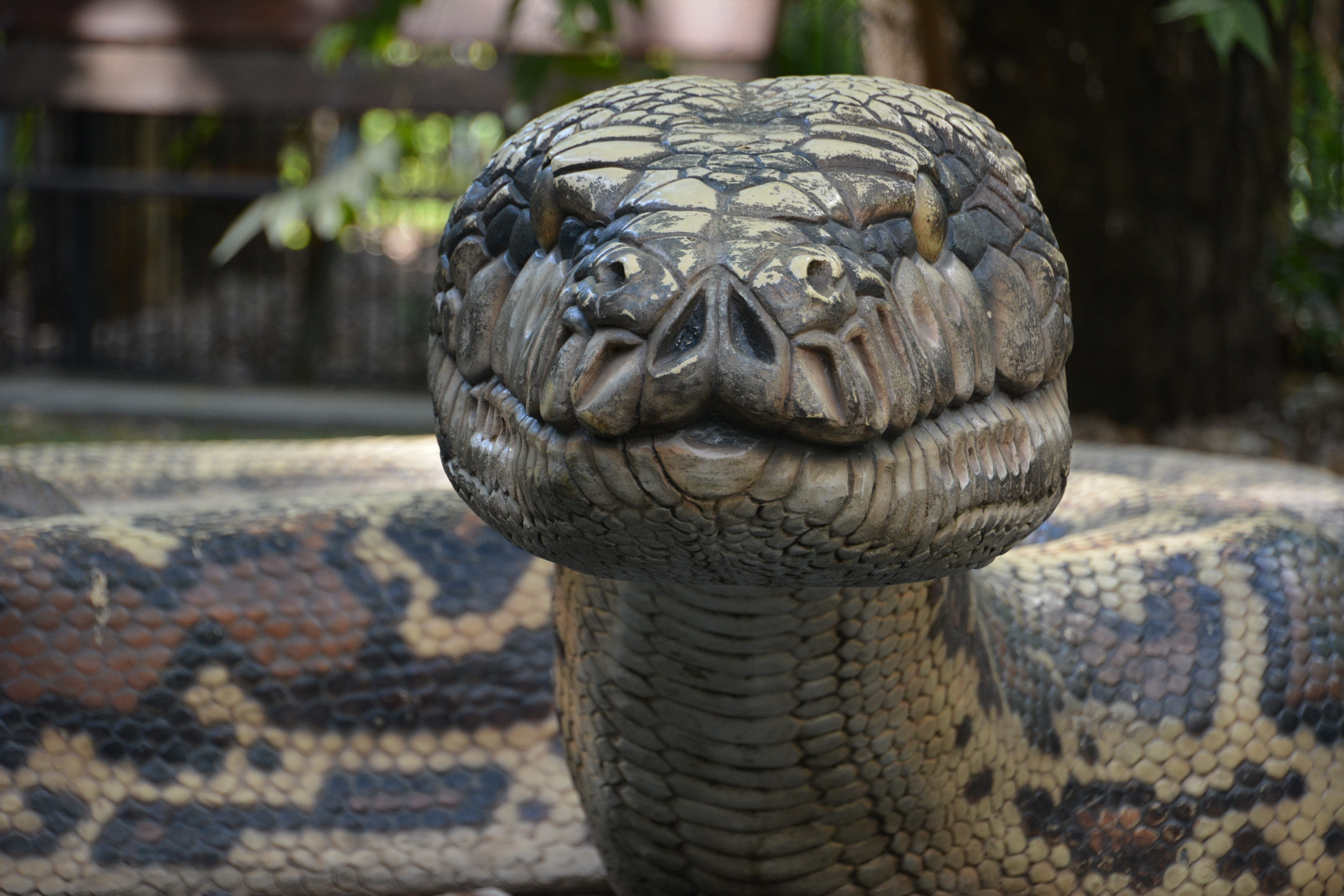 A fost descoperită o nouă specie uriașă de șarpe. Are peste 5 metri lungime, masculii și femelele sunt incredibil de diferiți