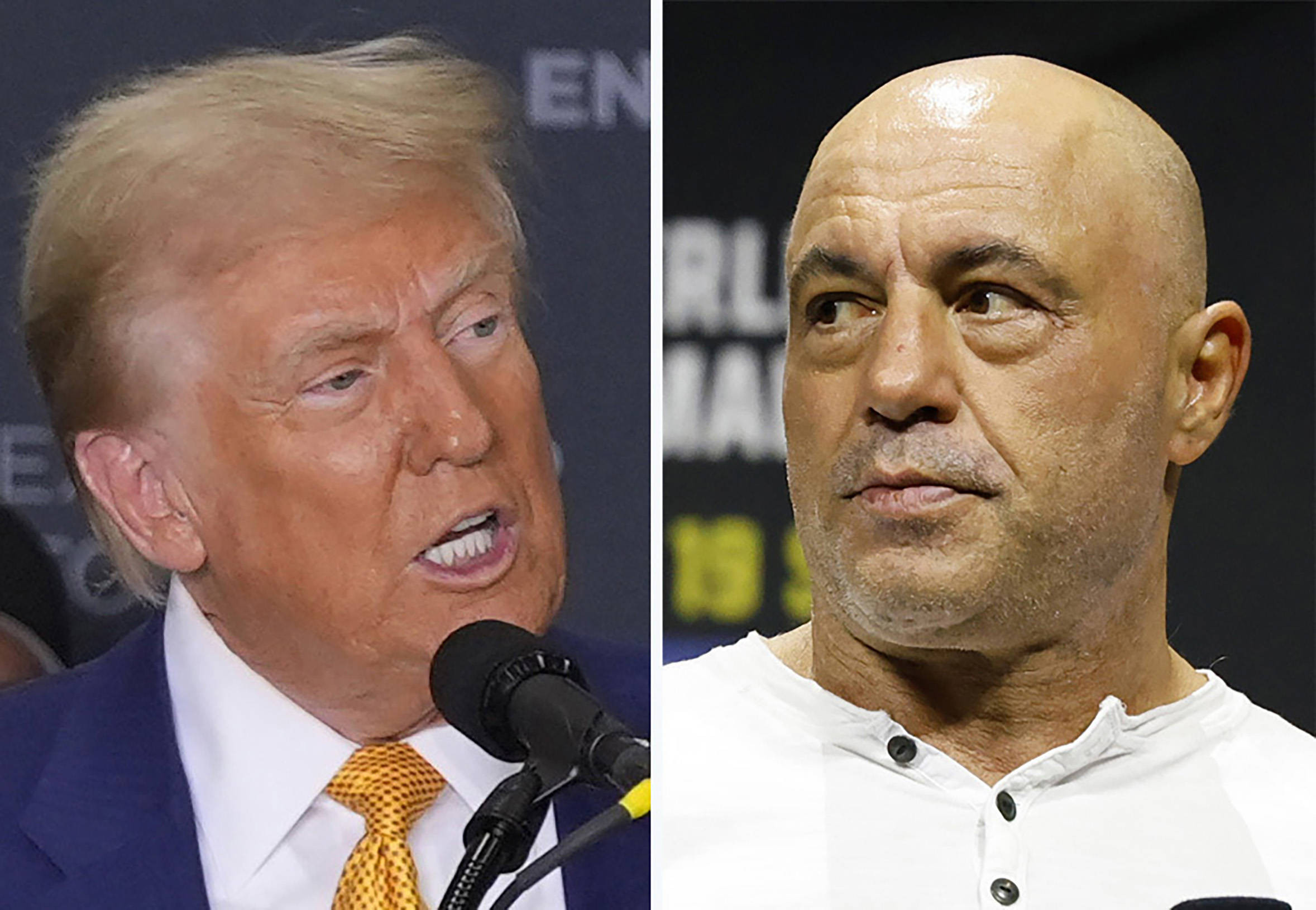 Joe Rogan, unul dintre susținători lui Trump, despre raidurile ICE pe străzile din SUA: „Suntem chiar Gestapo?”