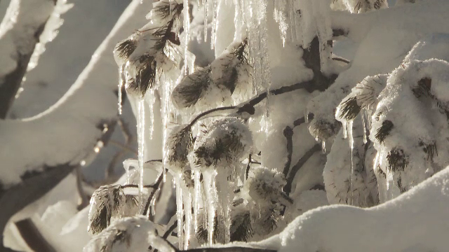 Codul galben de ger a fost prelungit în toată România. Temperaturile coboară până la -20 de grade