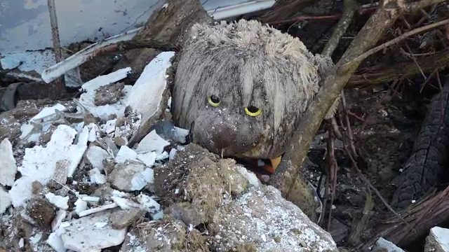 Tragedie în județul Bacău. Trei case au fost mistuite de flăcări, lăsând familiile pe drumuri în plină iarnă